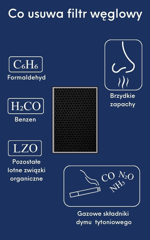 Ikonografika prezentująca co usuwa filtr węglowy
