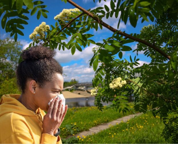 Kobieta z objawami alergii obok kwitnącego jesionu