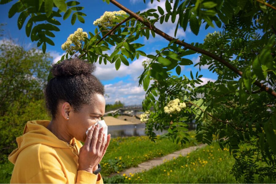 Kobieta z objawami alergii obok kwitnącego jesionu
