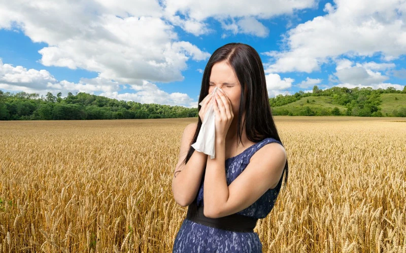 Co pyli w maju - zdjęcie główne - kobieta z objawami alergii na tle zboża