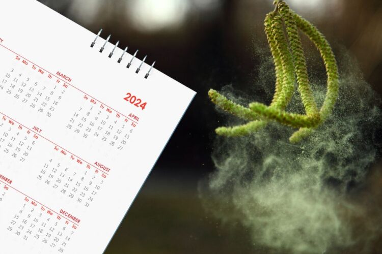Kalendarz pylenia roślin w Polsce