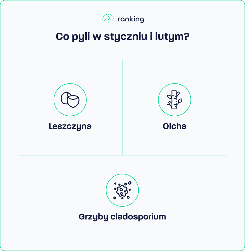 Co teraz pyli w styczniu?