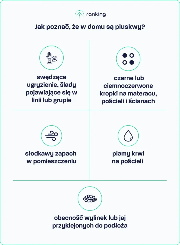 Jak poznać, że w domu są pluskwy