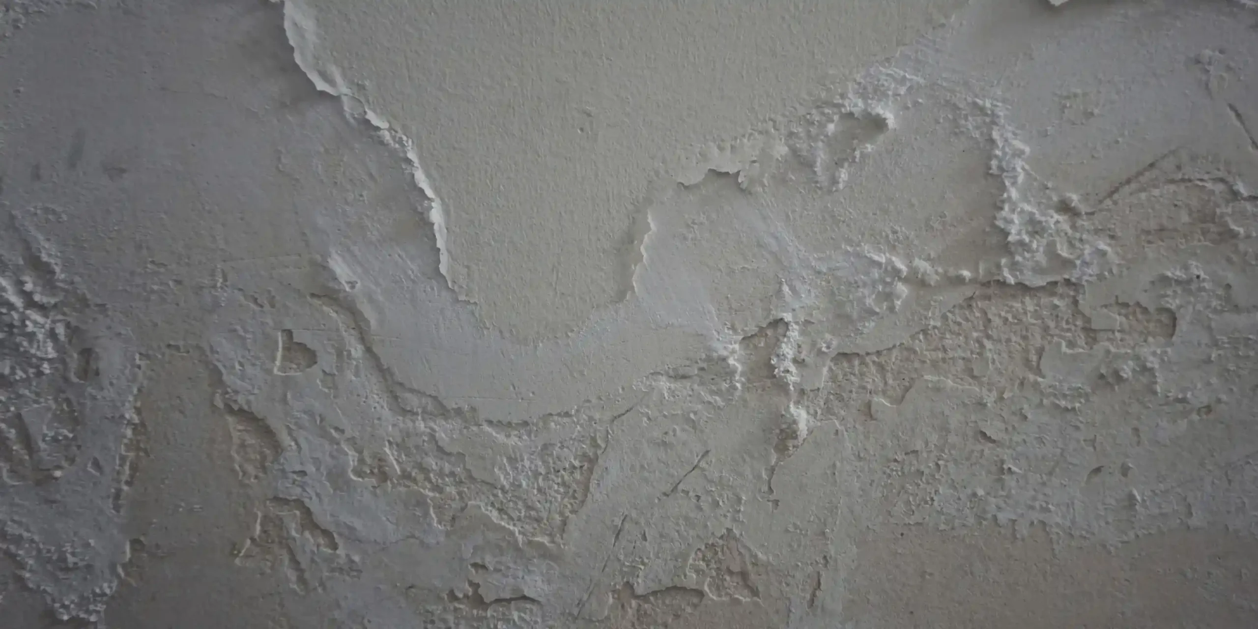 Miernik grzyba w domu - zdjęcie główne