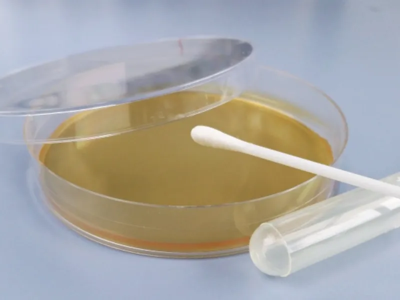 Miernik grzyba w powietrzu