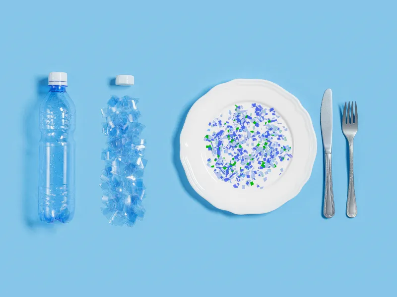 Mikroplastik a zdrowie