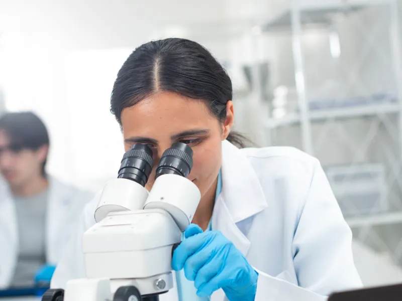 Testy mykologiczne na grzyb w mieszkaniu