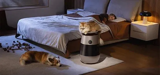 Kot i pies w sypialni z oczyszczaczem Dreame AP10. Źródło: Dreame-polska.pl