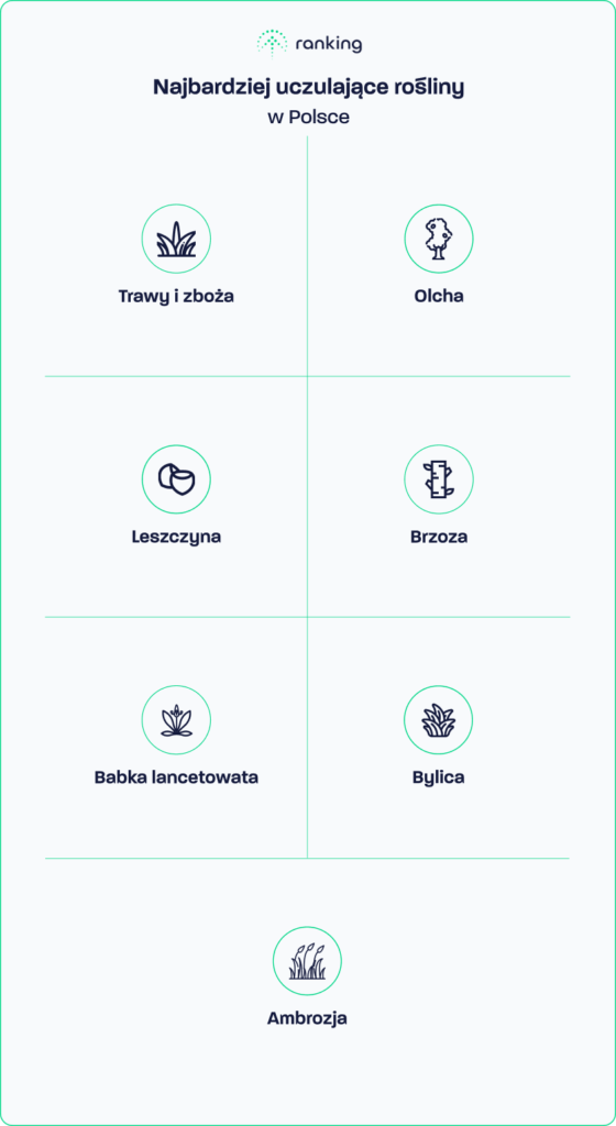 Najbardziej uczulające rośliny w Polsce