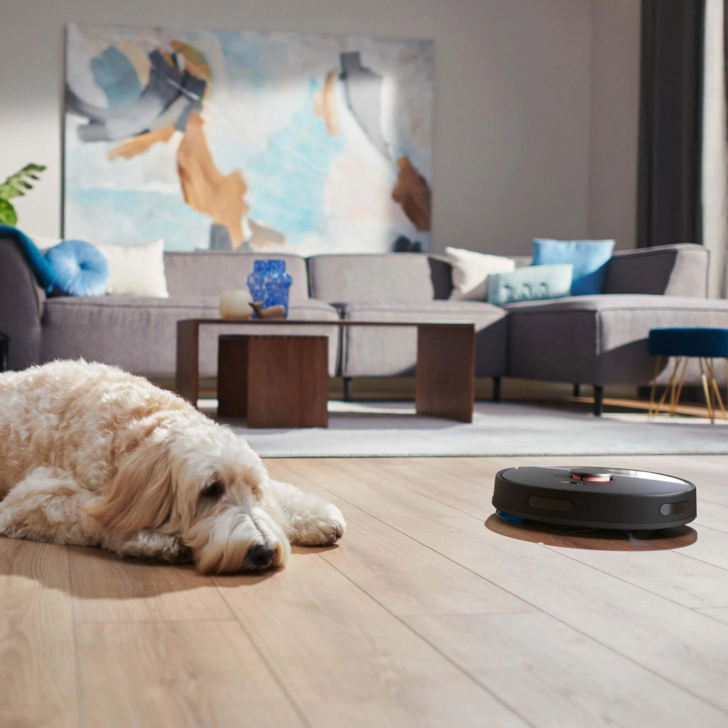Philips Aqua 3000 XU3100/01 - robot sprzątający w salonie z psem