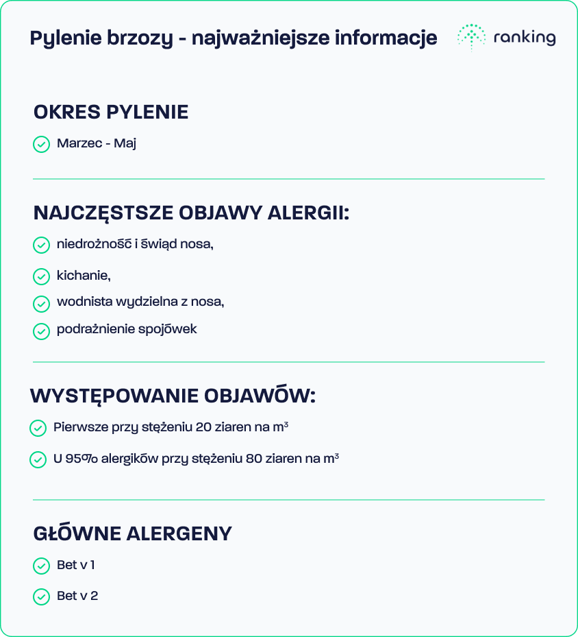 Pylenie brzozy, najważniejsze informacje