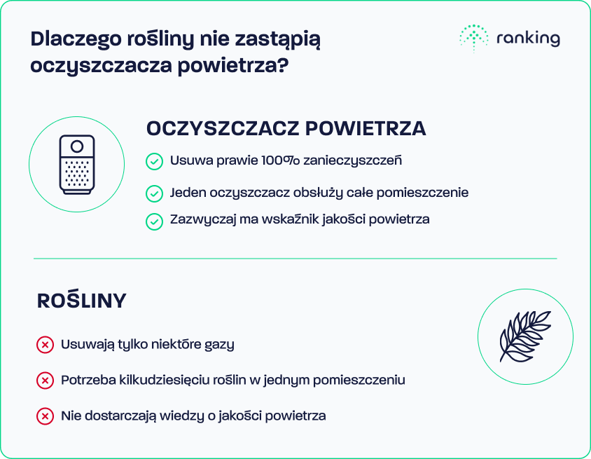 Oczyszczacze powietrza a rośliny oczyszczające powietrze