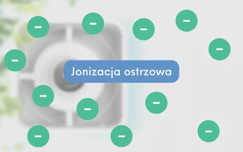 jonizacja ostrzowa - zdjęcie główne z joami ujemnymi